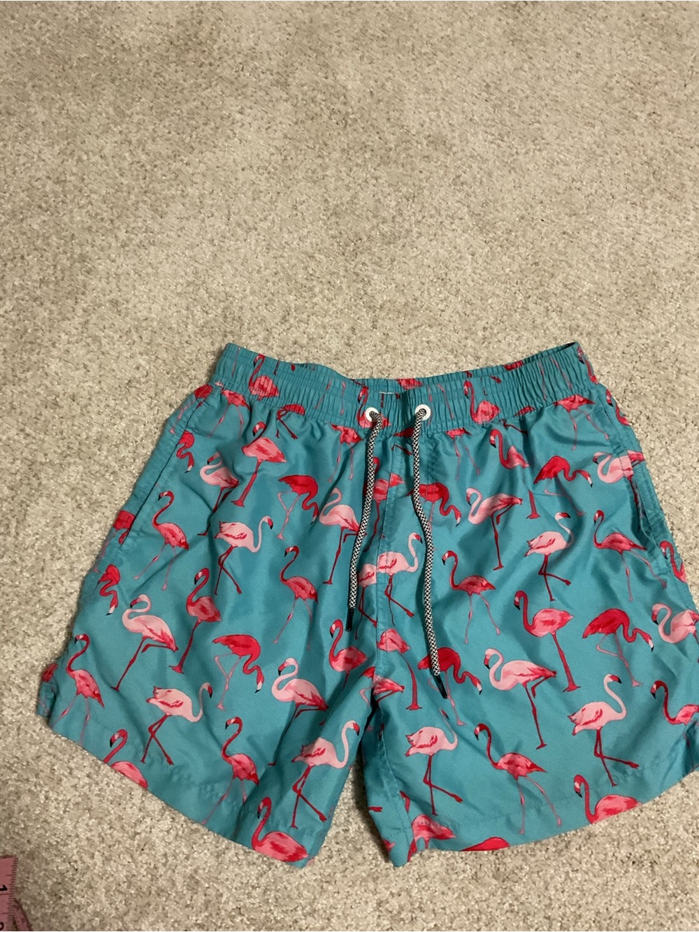 Men's Teal Flamingo Swim Trunks